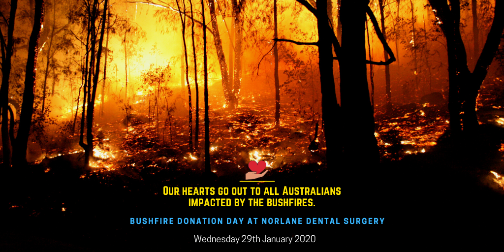 bushfire donation day at norlane dental surgery banner